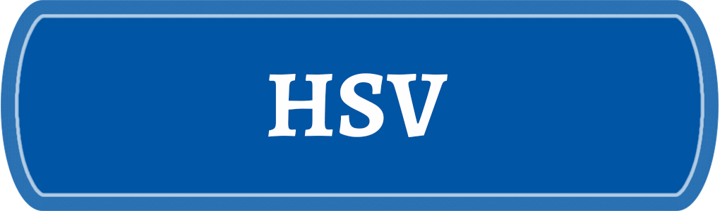Sportsbar HSV Fußball